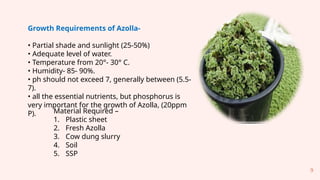 Basics_of_Azolla_Production_kumudini.pptx