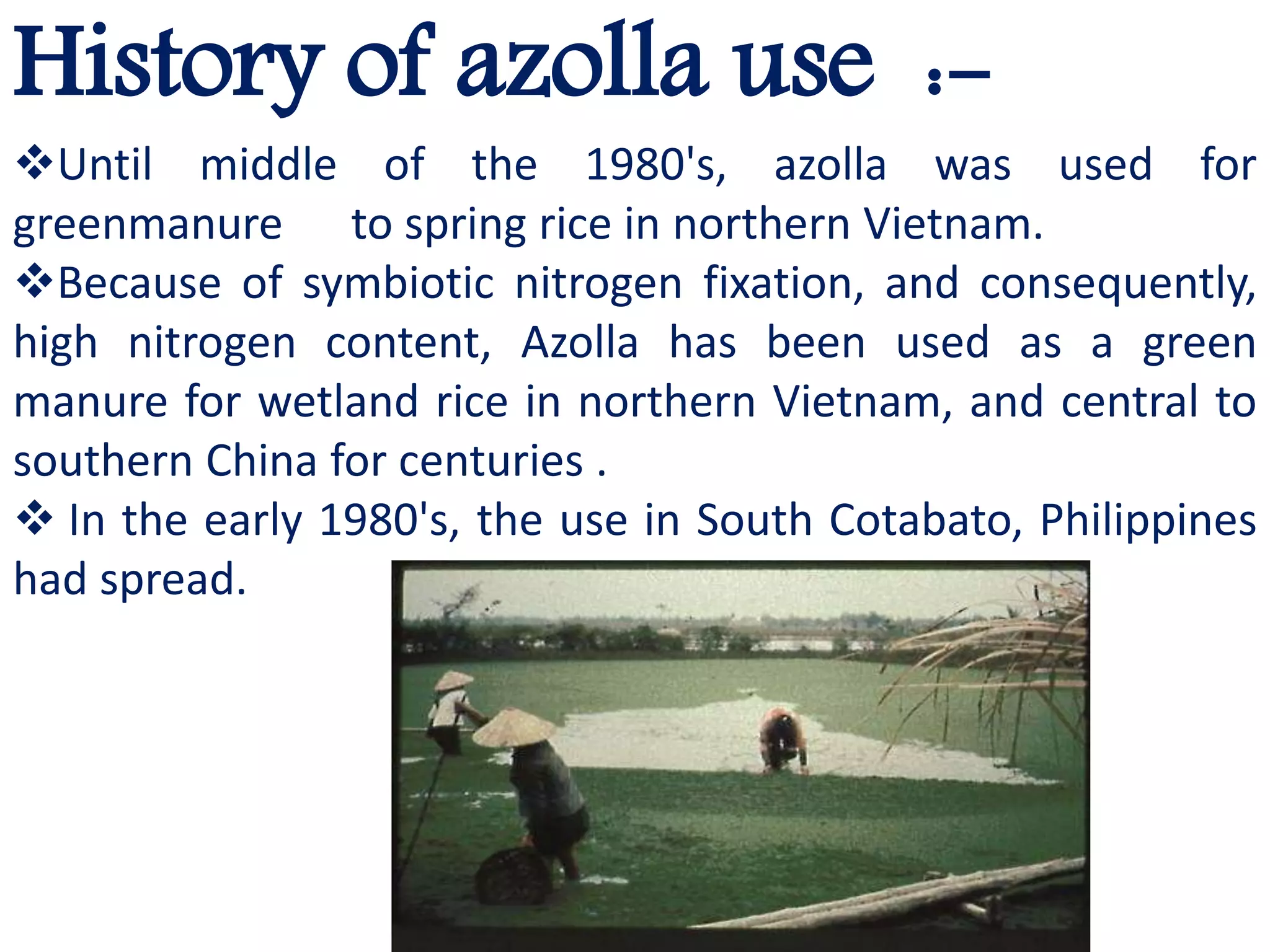 Azolla ppt | PPTX
