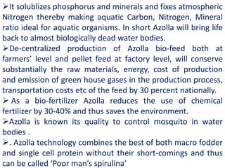 It solublizes phosphorus and minerals and fixes atmospheric
Nitrogen thereby making aquatic Carbon, Nitrogen, Mineral
ratio ideal for aquatic organisms. In short Azolla will bring life
back to almost biologically dead water bodies.
De-centralized production of Azolla bio-feed both at
farmers’ level and pellet feed at factory level, will conserve
substantially the raw materials, energy, cost of production
and emission of green house gases in the production process,
transportation costs etc of the feed by 30 percent nationally.
 As a bio-fertilizer Azolla reduces the use of chemical
fertilizer by 30-40% and thus saves the environment.
Azolla is known its quality to control mosquito in water
bodies .
. Azolla technology combines the best of both macro fodder
and single cell protein without their short-comings and thus
can be called ‘Poor man’s spirulina’
 