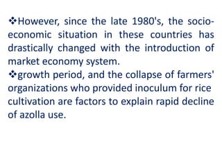 However, since the late 1980's, the socio-
economic situation in these countries has
drastically changed with the introduction of
market economy system.
growth period, and the collapse of farmers'
organizations who provided inoculum for rice
cultivation are factors to explain rapid decline
of azolla use.
 