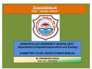 Presentation on
Title: “Azolla culture"
Mr. PARAMVEER SINGH
ADM. NO.-168090044
BARKATULLAH UNIVERSITY, BHOPAL (M.P)
Département of Applied Aquaculture and Zoology
SUBMITTED TO-DR. ASHOK KUMAR MUNJAL
 