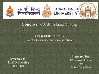 Objective :– Doubling farmer’s income
Presentation on :-
Azolla Production and its application
Presented by:-
Churamani kumar
14044
B.Sc.(Ag.) 4th yr
Presented to:-
Prof. O.P. Mishra
Dr. B. Jirli
 