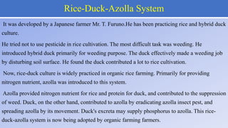 Azolla production | PPTX