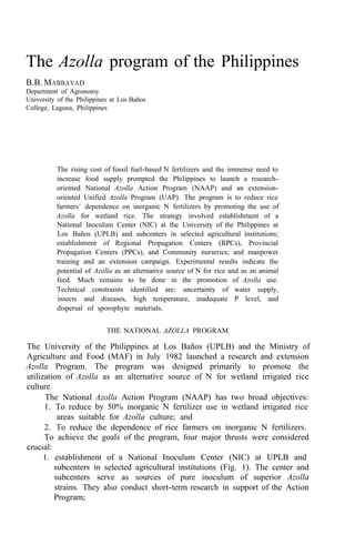 The Azolla program of the Philippines
B.B. MABBAYAD
Department of Agronomy
University of the Philippines at Los Baños
College, Laguna, Philippines
The rising cost of fossil fuel-based N fertilizers and the immense need to
increase food supply prompted the Philippines to launch a research-
oriented National Azolla Action Program (NAAP) and an extension-
oriented Unified Azolla Program (UAP). The program is to reduce rice
farmers’ dependence on inorganic N fertilizers by promoting the use of
Azolla for wetland rice. The strategy involved establishment of a
National Inoculum Center (NIC) at the University of the Philippines at
Los Baños (UPLB) and subcenters in selected agricultural institutions;
establishment of Regional Propagation Centers (RPCs), Provincial
Propagation Centers (PPCs), and Community nurseries; and manpower
training and an extension campaign. Experimental results indicate the
potential of Azolla as an alternative source of N for rice and as an animal
feed. Much remains to be done in the promotion of Azolla use.
Technical constraints identified are: uncertainty of water supply,
insects and diseases, high temperature, inadequate P level, and
dispersal of sporophyte materials.
THE NATIONAL AZOLLA PROGRAM
The University of the Philippines at Los Baños (UPLB) and the Ministry of
Agriculture and Food (MAF) in July 1982 launched a research and extension
Azolla Program. The program was designed primarily to promote the
utilization of Azolla as an alternative source of N for wetland irrigated rice
culture.
The National Azolla Action Program (NAAP) has two broad objectives:
1. To reduce by 50% inorganic N fertilizer use in wetland irrigated rice
2. To reduce the dependence of rice farmers on inorganic N fertilizers.
To achieve the goals of the program, four major thrusts were considered
1. establishment of a National Inoculum Center (NIC) at UPLB and
subcenters in selected agricultural institutions (Fig. 1). The center and
subcenters serve as sources of pure inoculum of superior Azolla
strains. They also conduct short-term research in support of the Action
Program;
areas suitable for Azolla culture; and
crucial:
 