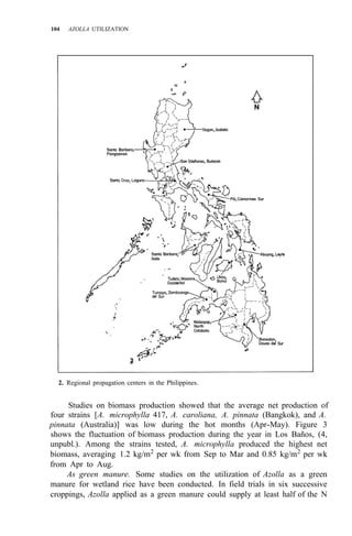 104 AZOLLA UTILIZATION
2. Regional propagation centers in the Philippines.
Studies on biomass production showed that the average net production of
four strains [A. microphylla 417, A. caroliana, A. pinnata (Bangkok), and A.
pinnata (Australia)] was low during the hot months (Apr-May). Figure 3
shows the fluctuation of biomass production during the year in Los Baños, (4,
unpubl.). Among the strains tested, A. microphylla produced the highest net
biomass, averaging 1.2 kg/m2
per wk from Sep to Mar and 0.85 kg/m2
per wk
from Apr to Aug.
As green manure. Some studies on the utilization of Azolla as a green
manure for wetland rice have been conducted. In field trials in six successive
croppings, Azolla applied as a green manure could supply at least half of the N
 