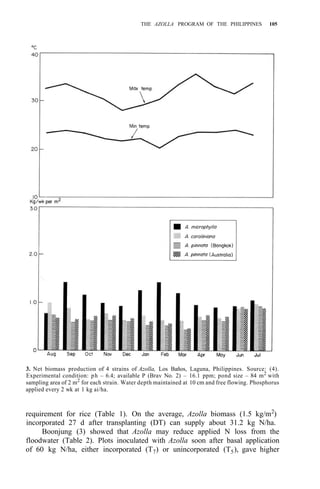THE AZOLLA PROGRAM OF THE PHILIPPINES 105
3. Net biomass production of 4 strains of Azolla, Los Baños, Laguna, Philippines. Source: (4).
Experimental condition: ph – 6.4; available P (Brav No. 2) – 16.1 ppm; pond size – 84 m2
with
sampling area of 2 m2
for each strain. Water depth maintained at 10 cm and free flowing. Phosphorus
applied every 2 wk at 1 kg ai/ha.
requirement for rice (Table 1). On the average, Azolla biomass (1.5 kg/m2
)
incorporated 27 d after transplanting (DT) can supply about 31.2 kg N/ha.
Boonjung (3) showed that Azolla may reduce applied N loss from the
floodwater (Table 2). Plots inoculated with Azolla soon after basal application
of 60 kg N/ha, either incorporated (T7) or unincorporated (T5), gave higher
 