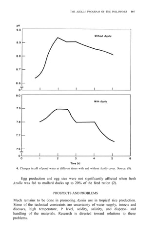 THE AZOLLA PROGRAM OF THE PHILIPPINES 107
4. Changes in pH of pond water at different times with and without Azolla cover. Source: (8).
Egg production and egg size were not significantly affected when fresh
Azolla was fed to mallard ducks up to 20% of the feed ration (2).
PROSPECTS AND PROBLEMS
Much remains to be done in promoting Azolla use in tropical rice production.
Some of the technical constraints are uncertainty of water supply, insects and
diseases, high temperature, P level, acidity, salinity, and dispersal and
handling of the materials. Research is directed toward solutions to these
problems.
 