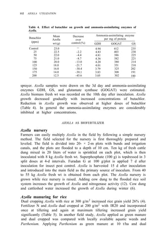 112 AZOLLA UTILIZATION
Table 4. Effect of butachlor on growth and ammonia-assimilating enzymes of
Azolla.
Butachlor
(ppm)
Control
25
50
75
100
125
150
175
200
Mean
Azolla
wt (g)
23.0
22.5
22.0
21.0
20.0
18.0
16.0
14.0
12.5
Decrease
over
control (%)
–
–2.2
–4.4
–8.7
–13.0
–21.7
–30.4
–39.1
–45.6
Ammonia-assimilating enzyme
per mg of protein
GDH GOGAT GS
4.94 412 235
4.83 403 230
4.81 386 225
4.36 382 221
4.20 380 214
4.01 351 210
3.79 325 202
3.83 308 191
3.05 302 180
sprayer. Azolla samples were drawn on the 3d day and ammonia-assimilating
enzymes GDH, GS, and glutamate synthase (GOGAT) were estimated.
Azolla biomass fresh wt was recorded on the 10th day after inoculation. Azolla
growth decreased gradually with increased concentrations of butachlor.
Reduction in Azolla growth was observed at higher doses of butachlor
(Table 4). In general the ammonia-assimilating enzymes are considerably
inhibited at higher concentrations.
AZOLLA AS BIOFERTILIZER
Azolla nursery
Farmers can easily multiply Azolla in the field by following a simple nursery
method. The field selected for the nursery is first thoroughly prepared and
leveled. The field is divided into 20- × 2-m plots with bunds and irrigation
canals, and the plots are flooded to a depth of 10 cm. Ten kg of fresh cattle
dung mixed in 20 liters of water is sprinkled on each plot, which is then
inoculated with 8 kg Azolla fresh wt. Superphosphate (100 g) is topdressed in 3
split doses at 4-d intervals. Furadan G at 100 g/plot is applied 7 d after
inoculation for insect pest control. Azolla is harvested 15 d after inoculation
and introduced into the main field as the primary source of inoculum. From 40
to 55 kg Azolla fresh wt is obtained from each plot. The Azolla nursery is
grown while rice nursery is raised. Adding cow dung to the flooded rice soil
system increases the growth of Azolla and nitrogenase activity (12). Cow dung
and cattleshed water increased the growth of Azolla during winter (6).
Azolla manuring for rice
Dual cropping Azolla with rice at 300 g/m2
increased rice grain yield 26% (4).
Fertilizer N and Azolla dual cropped at 200 g/m2
with IR20 and incorporated
once at tillering and again at maximum tillering increased grain yield
significantly (Table 5). In another field study, Azolla applied as green manure
and dual cropped was compared with locally available aquatic weeds and
Parthenium. Applying Parthenium as green manure at 10 t/ha and dual
 