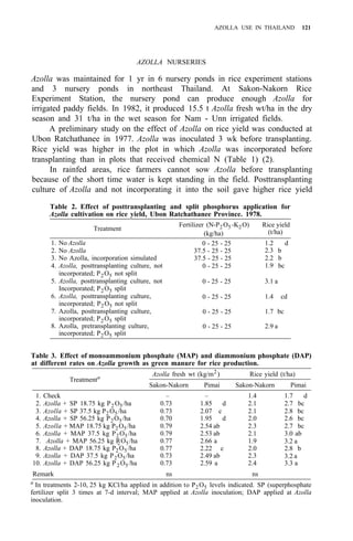 AZOLLA USE IN THAILAND 121
AZOLLA NURSERIES
Azolla was maintained for 1 yr in 6 nursery ponds in rice experiment stations
and 3 nursery ponds in northeast Thailand. At Sakon-Nakorn Rice
Experiment Station, the nursery pond can produce enough Azolla for
irrigated paddy fields. In 1982, it produced 15.5 t Azolla fresh wt/ha in the dry
season and 31 t/ha in the wet season for Nam - Unn irrigated fields.
A preliminary study on the effect of Azolla on rice yield was conducted at
Ubon Ratchathanee in 1977. Azolla was inoculated 3 wk before transplanting.
Rice yield was higher in the plot in which Azolla was incorporated before
transplanting than in plots that received chemical N (Table 1) (2).
In rainfed areas, rice farmers cannot sow Azolla before transplanting
because of the short time water is kept standing in the field. Posttransplanting
culture of Azolla and not incorporating it into the soil gave higher rice yield
Table 2. Effect of posttransplanting and split phosphorus application for
Azolla cultivation on rice yield, Ubon Ratchathanee Province. 1978.
Treatment
1. No Azolla
2. No Azolla
3. No Azolla, incorporation simulated
4. Azolla, posttransplanting culture, not
5. Azolla, posttransplanting culture, not
6. Azolla, posttransplanting culture,
7. Azolla, posttransplanting culture,
8. Azolla, pretransplanting culture,
incorporated; P2O5 not split
Incorporated; P2O5 split
incorporated; P2O5 not split
incorporated; P2O5 split
incorporated; P2O5 split
Fertilizer (N-P2O5-K2O)
(kg/ha)
0 - 25 - 25
37.5 - 25 - 25
37.5 - 25 - 25
0 - 25 - 25
0 - 25 - 25
0 - 25 - 25
0 - 25 - 25
0 - 25 - 25
Rice yield
(t/ha)
1.2 d
2.3 b
2.2 b
1.9 bc
3.1 a
1.4 cd
1.7 bc
2.9 a
Table 3. Effect of monoammonium phosphate (MAP) and diammonium phosphate (DAP)
at different rates on Azolla growth as green manure for rice production.
Azolla fresh wt (kg/m2
) Rice yield (t/ha)
Treatmenta
Sakon-Nakorn Pimai Sakon-Nakorn Pimai
1. Check – – 1.4 1.7 d
2. Azolla + SP 18.75 kg P2O5/ha 0.73 1.85 d 2.1 2.7 bc
3. Azolla + SP 37.5 kg P2O5/ha 0.73 2.07 c 2.1 2.8 bc
4. Azolla + SP 56.25 kg P2O5/ha 0.70 1.95 d 2.0 2.6 bc
5. Azolla + MAP 18.75 kg P2O5/ha 0.79 2.54 ab 2.3 2.7 bc
6. Azolla + MAP 37.5 kg P2O5/ha 0.79 2.53 ab 2.1 3.0 ab
7. Azolla + MAP 56.25 kg P
2O5/ha 0.77 2.66 a 1.9
8. Azolla + DAP 18.75 kg P2O5/ha
3.2 a
0.77 2.22 c 2.0 2.8 b
9. Azolla + DAP 37.5 kg P2O5/ha 0.73 2.49 ab 2.3
10. Azolla + DAP 56.25 kg P 2O5/ha 0.73 2.59 a 2.4 3.3 a
3.2 a
Remark ns ns
a
In treatments 2-10, 25 kg KCl/ha applied in addition to P2O5 levels indicated. SP (superphosphate
fertilizer split 3 times at 7-d interval; MAP applied at Azolla inoculation; DAP applied at Azolla
inoculation.
 