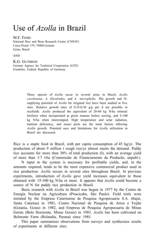 Use of Azolla in Brazil
M.F. FIORE
National Rice and Bean Research Center (CNPAF)
Caixa Postal 179, 74000 Goiania
Goias, Brazil
AND
K.G. GUTBROD
German Agency for Technical Cooperation (GTZ)
Frankfurt, Federal Republic of Germany
Three species of Azolla occur in several areas in Brazil, Azolla
caroliniana, A. filiculoides, and A. microphylla. The growth and N-
supplying potential of Azolla for irrigated rice have been studied at five
sites. Relative growth rates of 0.25-0.30 g/g per d are possible in
ricefields. Azolla produced the equivalent of 20-60 kg N/ha mineral
fertilizer when incorporated as green manure before sowing, and 5-100
kg N/ha when intercropped. High temperature and solar radiation,
nutrient deficiency, and insect pests are the main factors affecting
Azolla growth. Potential uses and limitations for Azolla utilization in
Brazil are discussed.
Rice is a staple food in Brazil, with per capita consumption of 45 kg/yr. The
production of about 9 million t rough rice/yr almost meets the demand. Paddy
rice accounts for more than 30% of total production (l), with an average yield
of more than 3.7 t/ha (Commissão de Financiamento da Producão, unpubl.).
N input to the system is necessary for profitable yields, and, in the
amounts required, tends to be the most expensive commercial product used in
rice production. Azolla occurs in several sites throughout Brazil. In previous
experiments, introduction of Azolla gave yield increases equivalent to those
obtained with 15-100 kg N/ha or more. It appears that Azolla could become a
source of N for paddy rice production in Brazil.
Basic research with Azolla in Brazil was begun in 1977 by the Centro de
Energia Nuclear na Agricultura (Piracicaba, São Paulo). Field trials were
initiated by the Empresa Catarinense de Pesquisa Agropecuaria S.A. (Itajai,
Santa Catarina) in 1981, Centro Nacional de Pesquisa de Arroz e Feijão
(Goiania, Goias) in 1982, and Empresa de Pesquisa Agropecuaria de Minas
Gerais (Belo Horizonte, Minas Gerais) in 1983. Azolla has been cultivated on
Belmonte Farm (Rolandia, Parana) since 1981.
This paper summarizes observations from surveys and synthesizes results
of experiments at different sites.
 