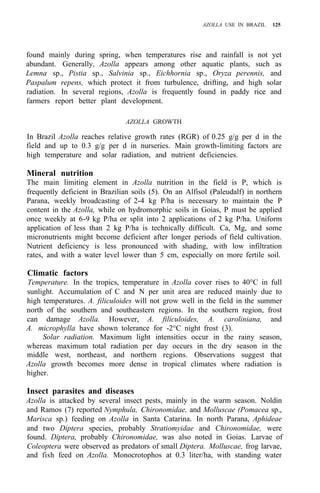 AZOLLA USE IN BRAZIL 125
found mainly during spring, when temperatures rise and rainfall is not yet
abundant. Generally, Azolla appears among other aquatic plants, such as
Lemna sp., Pistia sp., Salvinia sp., Eichhornia sp., Oryza perennis, and
Paspalum repens, which protect it from turbulence, drifting, and high solar
radiation. In several regions, Azolla is frequently found in paddy rice and
farmers report better plant development.
AZOLLA GROWTH
In Brazil Azolla reaches relative growth rates (RGR) of 0.25 g/g per d in the
field and up to 0.3 g/g per d in nurseries. Main growth-limiting factors are
high temperature and solar radiation, and nutrient deficiencies.
Mineral nutrition
The main limiting element in Azolla nutrition in the field is P, which is
frequently deficient in Brazilian soils (5). On an Alfisol (Paleudalf) in northern
Parana, weekly broadcasting of 2-4 kg P/ha is necessary to maintain the P
content in the Azolla, while on hydromorphic soils in Goias, P must be applied
once weekly at 6-9 kg P/ha or split into 2 applications of 2 kg P/ha. Uniform
application of less than 2 kg P/ha is technically difficult. Ca, Mg, and some
micronutrients might become deficient after longer periods of field cultivation.
Nutrient deficiency is less pronounced with shading, with low infiltration
rates, and with a water level lower than 5 cm, especially on more fertile soil.
Climatic factors
Temperature. In the tropics, temperature in Azolla cover rises to 40°C in full
sunlight. Accumulation of C and N per unit area are reduced mainly due to
high temperatures. A. filiculoides will not grow well in the field in the summer
north of the southern and southeastern regions. In the southern region, frost
can damage Azolla. However, A. filiculoides, A. caroliniana, and
A. microphylla have shown tolerance for -2°C night frost (3).
Solar radiation. Maximum light intensities occur in the rainy season,
whereas maximum total radiation per day occurs in the dry season in the
middle west, northeast, and northern regions. Observations suggest that
Azolla growth becomes more dense in tropical climates where radiation is
higher.
Insect parasites and diseases
Azolla is attacked by several insect pests, mainly in the warm season. Noldin
and Ramos (7) reported Nymphula, Chironomidae, and Molluscae (Pomacea sp.,
Marisca sp.) feeding on Azolla in Santa Catarina. In north Parana, Aphideae
and two Diptera species, probably Stratiomyidae and Chironomidae, were
found. Diptera, probably Chironomidae, was also noted in Goias. Larvae of
Coleoptera were observed as predators of small Diptera. Molluscae, frog larvae,
and fish feed on Azolla. Monocrotophos at 0.3 liter/ha, with standing water
 