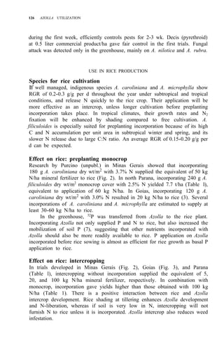 126 AZOLLA UTILIZATION
during the first week, efficiently controls pests for 2-3 wk. Decis (pyrethroid)
at 0.5 liter commercial product/ha gave fair control in the first trials. Fungal
attack was detected only in the greenhouse, mainly on A. nilotica and A. rubra.
USE IN RICE PRODUCTION
Species for rice cultivation
If well managed, indigenous species A. caroliniana and A. microphylla show
RGR of 0.2-0.3 g/g per d throughout the year under subtropical and tropical
conditions, and release N quickly to the rice crop. Their application will be
more effective as an intercrop, unless longer cultivation before preplanting
incorporation takes place. In tropical climates, their growth rates and N2
fixation will be enhanced by shading compared to free cultivation. A.
filiculoides is especially suited for preplanting incorporation because of its high
C and N accumulation per unit area in subtropical winter and spring, and its
slower N release due to large C:N ratio. An average RGR of 0.15-0.20 g/g per
d can be expected.
Effect on rice: preplanting monocrop
Research by Purcino (unpubl.) in Minas Gerais showed that incorporating
180 g A. caroliniana dry wt/m2
with 3.7% N supplied the equivalent of 50 kg
N/ha mineral fertilizer to rice (Fig. 2). In north Parana, incorporating 240 g A.
filiculoides dry wt/m2
monocrop cover with 2.5% N yielded 7.7 t/ha (Table l),
equivalent to application of 60 kg N/ha. In Goias, incorporating 120 g A.
caroliniana dry wt/m2
with 3.0% N resulted in 20 kg N/ha to rice (3). Several
incorporations of A. caroliniana and A. microphylla are estimated to supply at
least 30-60 kg N/ha to rice.
In the greenhouse, 32
P was transferred from Azolla to the rice plant.
Incorporating Azolla not only supplied P and N to rice, but also increased the
mobilization of soil P (7), suggesting that other nutrients incorporated with
Azolla should also be more readily available to rice. P application on Azolla
incorporated before rice sowing is almost as efficient for rice growth as basal P
application to rice.
Effect on rice: intercropping
In trials developed in Minas Gerais (Fig. 2), Goias (Fig. 3), and Parana
(Table l), intercropping without incorporation supplied the equivalent of 5,
20, and 100 kg N/ha mineral fertilizer, respectively. In combination with
monocrop, incorporation gave yields higher than those obtained with 100 kg
N/ha (Table 1). There is a positive interaction between rice and Azolla
intercrop development. Rice shading at tillering enhances Azolla development
and N-liberation, whereas if soil is very low in N, intercropping will not
furnish N to rice unless it is incorporated. Azolla intercrop also reduces weed
infestation.
 