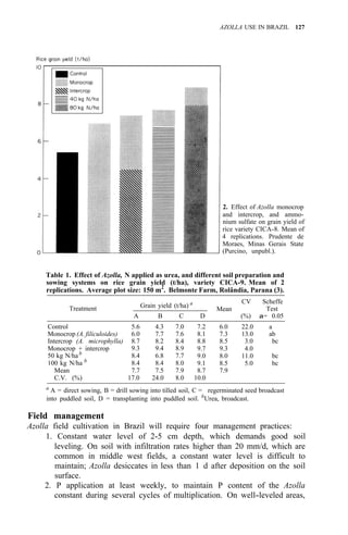 AZOLLA USE IN BRAZIL 127
2. Effect of Azolla monocrop
and intercrop, and ammo-
nium sulfate on grain yield of
rice variety CICA-8. Mean of
4 replications. Prudente de
Moraes, Minas Gerais State
(Purcino, unpubl.).
Table 1. Effect of Azolla, N applied as urea, and different soil preparation and
sowing systems on rice grain yield (t/ha), variety CICA-9. Mean of 2
replications. Average plot size: 150 m2
. Belmonte Farm, Rolândia, Parana (3).
Grain yield (t/ha) a CV Scheffe
A B C D (%) a= 0.05
Treatment Mean Test
Control 5.6 4.3 7.0 7.2 6.0 22.0 a
Monocrop (A. filiculoides) 6.0 7.7 7.6 8.1 7.3 13.0 ab
Intercrop (A. microphylla) 8.7 8.2 8.4 8.8 8.5 3.0 bc
Monocrop + intercrop
50 kg N/hab
9.3 9.4 8.9 9.7 9.3 4.0
8.4 6.8 7.7 9.0 8.0 11.0 bc
100 kg N/ha b
8.4 8.4 8.0 9.1 8.5 5.0 bc
Mean 7.7 7.5 7.9 8.7 7.9
C.V. (%) 17.0 24.0 8.0 10.0
a A = direct sowing, B = drill sowing into tilled soil, C = regerminated seed broadcast
into puddled soil, D = transplanting into puddled soil. b
Urea, broadcast.
Field management
Azolla field cultivation in Brazil will require four management practices:
1. Constant water level of 2-5 cm depth, which demands good soil
leveling. On soil with infiltration rates higher than 20 mm/d, which are
common in middle west fields, a constant water level is difficult to
maintain; Azolla desiccates in less than 1 d after deposition on the soil
surface.
2. P application at least weekly, to maintain P content of the Azolla
constant during several cycles of multiplication. On well-leveled areas,
 