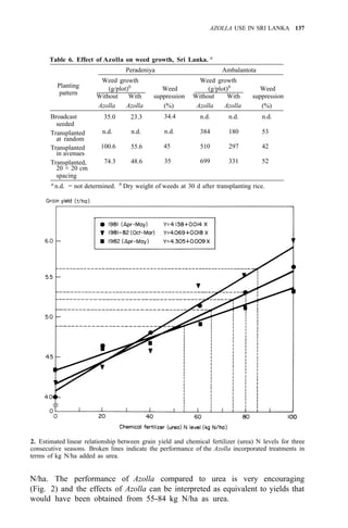 AZOLLA USE IN SRI LANKA 137
Table 6. Effect of Azolla on weed growth, Sri Lanka. a
Peradeniya Ambalantota
Planting
pattern
Weed growth Weed growth
(g/plot)b
Weed (g/plot)b
Weed
Without With suppression Without With suppression
Azolla Azolla (%) Azolla Azolla (%)
Broadcast 35.0 23.3 34.4 n.d. n.d. n.d.
Transplanted n.d. n.d. n.d. 384 180 53
Transplanted 100.6 55.6 45 510 297 42
Transplanted, 74.3 48.6 35 699 331 52
seeded
at random
in avenues
20 × 20 cm
spacing
a
n.d. = not determined. b
Dry weight of weeds at 30 d after transplanting rice.
2. Estimated linear relationship between grain yield and chemical fertilizer (urea) N levels for three
consecutive seasons. Broken lines indicate the performance of the Azolla incorporated treatments in
terms of kg N/ha added as urea.
N/ha. The performance of Azolla compared to urea is very encouraging
(Fig. 2) and the effects of Azolla can be interpreted as equivalent to yields that
would have been obtained from 55-84 kg N/ha as urea.
 