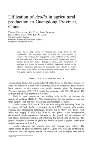 Utilization of Azolla in agricultural
production in Guangdong Province,
China
ZHANG ZHUANG-TA, KE YU-SI, LING DE-QUAN,
DUAN BING-YUAN, AND LIU XI-LIAN*
Soil and Fertilizer Institute
Guangong Academy of Agricultural Sciences
Guangzhou, Guangdong, China
China has a long history of culturing and using Azolla (1, 5).
Traditionally, the vegetative mass of Azolla has been applied to
conserve the seedlings for propagation. Main problems in this method
are that under high or low temperature, the growth of vegetative mass is
limited, insect and disease damage is severe, and preservation of
seedlings over winter or summer is difficult. Systematic studies on the
effective utilization and ways to consistently grow Azolla to control
main insect pests and to sexually reproduce Azolla began in the 1960s.
This paper reports the results of such studies.
EFFECTIVE UTILIZATION OF AZOLLA
Incorporating Azolla into winter-fallowed paddy fields as the basic manure for
early rice culture is a main way of utilizing Azolla as a fertilizer. Azolla used as
basic manure in rice culture can greatly increase yield. In Kwangtong
Province, applying 22.5-37.5 t Azolla /ha increased yield 585-795 kg/ha. The
average rate of yield increase is 9.6-13%.
Used as basic manure on rice seedling beds, Azolla can improve the
quality of seedlings (Table 1). After transplanting, the rice seedlings grow and
tiller quickly, and the rate of seedling establishment is higher.
Azolla contains N, P, and K. N is the main rice yield increasing factor (2).
N content of fresh Azolla is generally about 0.25% (varying with species,
climate, and propagating technique). Twenty-five to thirty tons Azolla fresh
wt/ha can supply 62.5-75.0 kg N/ha to rice plants. After incorporation,
decomposed Azolla contributes nutrients to the growth and development of
rice plants, promoting tillering and enhancing the growth rate of panicles. The
general increase in number of grain per panicle is about 5 grains; 1,000-grain
weight increases by 1 or 2 g.
Azolla cultivation can improve soils and enhance their fertility. The
lignin content of Azolla is relatively high (6). Up to 39% of its dry matter can be
converted into soil organic matter. Its conversion rate is higher than that of
*Deceased
 