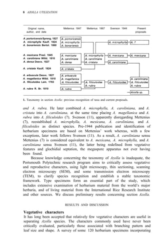 8 AZOLLA UTILIZATION
Original name,
author, and date proposals
Mettenius 1847 Mettenius 1867 Svenson 1944 Present
A. portoricensisSpreng. 1827
A. microphylla Kaulf. 1824
A. bonariensis Bertol. 1860
A. mexicana Presl. 1845
A. caroliniana Willd. 1810
A. densa Desvx. 1827
A. cristata Kaulf. 1824
A. arbuscula Desvx. 1827
A. magellanica Willd. 1810
A. filiculoides Lam. 1783
A. rubra R. Br. 1810
1. Taxonomy in section Azolla: previous recognition of taxa and current proposals.
and A. rubra. He later combined A. microphylla, A. caroliniana, and A.
cristata into A. caroliniana, at the same time placing A. magellanica and A.
rubra into A. filiculoides (7). Svenson (11), apparently disregarding Mettenius
(7), reestablished A. microphylla, A. mexicana, A. caroliniana, and A.
filiculoides as distinct species. Pre-1944 publication and identification of
herbarium specimens are based on Mettenius’ work whereas, with a few
exceptions, later work follows Svenson (11). As a result, A. caroliniana sensu
Mettenius (7) is considered equivalent to A. mexicana, A. microphylla, and A.
caroliniana sensu Svenson (11), the latter being redefined from vegetative
features and glochidial septation, the megaspore apparatus not ever having
been found.
Because knowledge concerning the taxonomy of Azolla is inadequate, the
Portsmouth Polytechnic research program aims to critically assess vegetative
and reproductive characters, using light microscopy, thin sectioning, scanning
electron microscopy (SEM), and some transmission electron microscopy
(TEM), to clarify species recognition and establish a stable taxonomic
framework. Type specimens form an essential part of the study, which
includes extensive examination of herbarium material from the world’s major
herbaria, and of living material from the International Rice Research Institute
and other sources. We discuss preliminary results concerning section Azolla.
RESULTS AND DISCUSSION
Vegetative characters
It has long been accepted that relatively few vegetative characters are useful in
separating Azolla species. The characters commonly used have never been
critically evaluated, particularly those associated with branching pattern and
leaf size and shape. A survey of some 120 herbarium specimens incorporating
 
