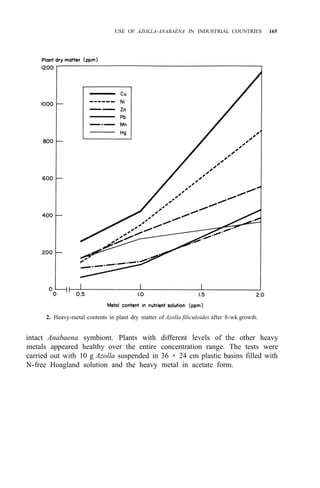USE OF AZOLLA-ANABAENA IN INDUSTRIAL COUNTRIES 165
2. Heavy-metal contents in plant dry matter of Azolla filiculoides after 8-wk growth.
intact Anabaena symbiont. Plants with different levels of the other heavy
metals appeared healthy over the entire concentration range. The tests were
carried out with 10 g Azolla suspended in 36 × 24 cm plastic basins filled with
N-free Hoagland solution and the heavy metal in acetate form.
 