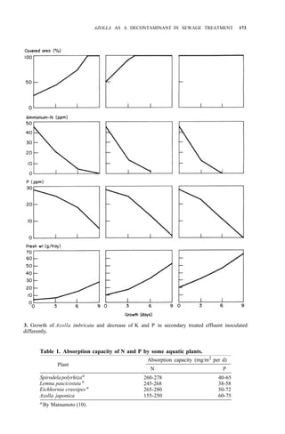 AZOLLA AS A DECONTAMINANT IN SEWAGE TREATMENT 173
3. Growth of Azolla imbricata and decrease of K and P in secondary treated effluent inoculated
differently.
Table 1. Absorption capacity of N and P by some aquatic plants.
Absorption capacity (mg/m2
per d)
N P
Plant
Spirodelapolyrhizaa
Lemna paucicostata a
Eichhornia crassipesa
Azolla japonica
260-278
245-268
265-280
155-250
40-65
38-58
50-72
60-75
a
By Matsumoto (10).
 
