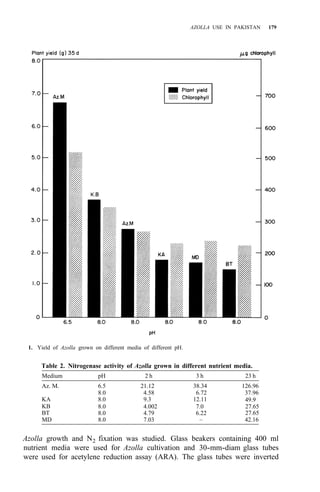 AZOLLA USE IN PAKISTAN 179
1. Yield of Azolla grown on different media of different pH.
Table 2. Nitrogenase activity of Azolla grown in different nutrient media.
Medium pH 2 h 3 h 23 h
Az. M. 6.5 21.12 38.34 126.96
8.0 4.58 6.72 37.96
KA 8.0 9.3 12.11
KB
49.9
8.0 4.002 7.0
BT
27.65
8.0 4.79 6.22
MD
27.65
8.0 7.03 – 42.16
Azolla growth and N2 fixation was studied. Glass beakers containing 400 ml
nutrient media were used for Azolla cultivation and 30-mm-diam glass tubes
were used for acetylene reduction assay (ARA). The glass tubes were inverted
 