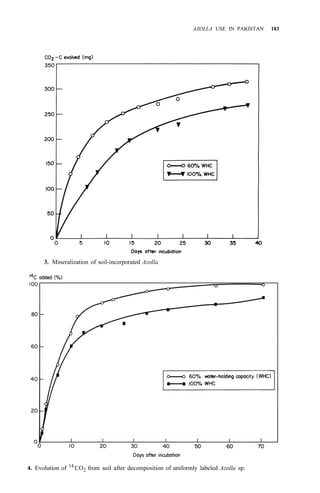 AZOLLA USE IN PAKISTAN 183
3. Mineralization of soil-incorporated Azolla.
4. Evolution of 14
CO2 from soil after decomposition of uniformly labeled Azolla sp.
 