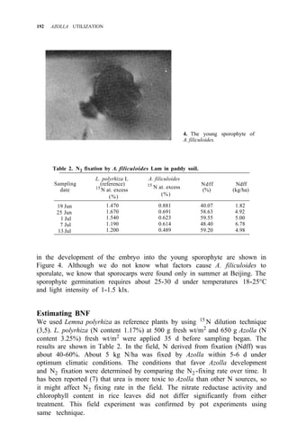 192 AZOLLA UTILIZATION
4. The young sporophyte of
A. filiculoides.
Table 2. N2 fixation by A. filiculoides Lam in paddy soil.
Sampling (reference)
(%)
L. polyrhiza L A. filiculoides
15
N at. excess
Ndff Ndff
date 15
N at. excess (%) (kg/ha)
(%)
19 Jun 1.470 0.881 40.07 1.82
25 Jun 1.670 0.691 58.63 4.92
1 Jul 1.540 0.623 59.55 5.00
7 Jul 1.190 0.614 48.40 6.78
13 Jul 1.200 0.489 59.20 4.98
in the development of the embryo into the young sporophyte are shown in
Figure 4. Although we do not know what factors cause A. filiculoides to
sporulate, we know that sporocarps were found only in summer at Beijing. The
sporophyte germination requires about 25-30 d under temperatures 18-25°C
and light intensity of 1-1.5 klx.
Estimating BNF
We used Lemna polyrhiza as reference plants by using 15
N dilution technique
(3,5). L. polyrhiza (N content 1.17%) at 500 g fresh wt/m2
and 650 g Azolla (N
content 3.25%) fresh wt/m2
were applied 35 d before sampling began. The
results are shown in Table 2. In the field, N derived from fixation (Ndff) was
about 40-60%. About 5 kg N/ha was fixed by Azolla within 5-6 d under
optimum climatic conditions. The conditions that favor Azolla development
and N2 fixation were determined by comparing the N2-fixing rate over time. It
has been reported (7) that urea is more toxic to Azolla than other N sources, so
it might affect N2 fixing rate in the field. The nitrate reductase activity and
chlorophyll content in rice leaves did not differ significantly from either
treatment. This field experiment was confirmed by pot experiments using
same technique.
 