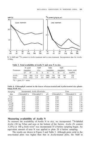 RICE-AZOLLA ASSOCIATION IN NORTHERN CHINA 193
5. % Ndff and 15
N content in Azolla treatment and in urea treatment. Incorporation date for Azolla:
14 May.
Table 3. Total availability of Azolla N and urea N to rice.
N yield Ndff Ndfs Ndff
Treatment (mg/plot) (%) (mg/plot) (mg/plot) Grain yield
Ga
Sa
G S G S G S (g/plot)
Azolla 1164 945 13.4 17.3 1008 781 156 164 130
Urea 1112 1522 5.9 5.8 1047 1434 65 88 173
a
G = grain, S = straw.
Table 4. Chlorophyll content in the leaves of urea-treated and Azolla-treated rice plants
(mg/g fresh wt).
Sampling Incorporated Azolla filiculoides Urea
date Chlorophyll a Chlorophyll b a/b Chlorophyll a Chlorophyll b a/b
5 Jul
23 Jul
30 Jul
15Aug
4 Sep
13Sep
4 Oct
4 Aug
0.80
0.94
0.64
0.71
0.72
0.54
0.26
0.09
0.50
0.56
0.38
0.42
0.45
0.28
0.15
0.05
1.60
1.68
1.67
1.76
1.66
1.90
1.68
1.68
0.86
0.71
0.64
0.73
0.99
0.99
0.33
0.11
0.56
0.44
0.38
0.42
0.70
0.62
0.19
0.07
1.54
1.62
1.67
1.74
1.46
1.59
1.74
1.68
Measuring availability of Azolla N
To measure the availability of Azolla N to rice, we incorporated 15
N-labeled
Azolla (30 kg N/ha) and urea at the bottom of the furrow. Azolla (N content
3.25%) at 160 g fresh wt/m2
was incorporated 35 d before sampling began. An
equivalent amount of urea N was applied to plots 20 d before sampling.
The results are shown in Figure 5 and Table 3. Although grain yield in the
urea-treated plots was higher than that in Azolla-treated plots, the Ndff in
 