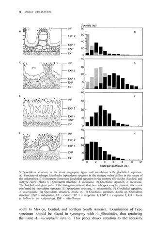 12 AZOLLA UTILIZATION
3. Sporoderm structure in the main megaspore types and correlation with glochidia1 septation.
A) Structure of subtype filiculoides (sporoderm structure in the subtype rubra differs in the nature of
the endoperine). B) Histogram illustrating glochidial septation in the subtype filiculoides (hatched) and
subtype rubra (plain). C) Sporoderm structure, A. mexicana. D) Glochidial septation, A. mexicana.
The hatched and plain parts of the histogram indicate that two subtypes may be present; this is not
confirmed by sporoderm structure. E) Sporoderm structure, A. microphylla. F) Glochidial septation,
A. microphylla. G) Sporoderm structure, Azolla sp. H) Glochidial septation, Azolla sp. Sporoderm
structure: ENP = endoperine, EX = exine, EXP 1 = exoperine 1, EXP 2 = exoperine 2, FO = fovea
(a hollow in the sculpturing), INF = infrafilosum.
south to Mexico, Central, and northern South America. Examination of Type
specimen should be placed in synonymy with A. filiculoides, thus rendering
the name A. microphylla invalid. This paper draws attention to the necessity
 