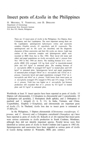 Insect pests of Azolla in the Philippines
O. MOCHIDA, Y. YOSHIYASU, AND D. DIMAANO
Department of Entomology
International Rice Research Institute
P.O. Box 933, Manila, Philippines
There are 12 insect pests of Azolla in the Philippines: five Diptera, three
Coleoptera, and four Lepidoptera. The most important among them are
the Lepidoptera: spinningworm Ephestiopsis vishnu and caseworm
complex, Elophila enixalis, El. nigralbalis, and El. responsalis. The
spinningworm and its life cycle are described, and the diagnostic
characters of three caseworms and their life cycles are shown. Light trap
catches of the caseworm complex and spinningworm adults were
recorded at IRRI from Jun to Dec 1984. Their larval (2d instar and
older) and pupal populations on Azolla microphylla and A. pinnata from
Nov 1983 to Dec 1984 are shown. The standing biomass of A. micro-
phylla (IRRI 418) averaged 1.03 kg fresh wt/m2
in insecticide-treated
plots and 0.67 kg/m2
in untreated plots. The standing biomass of
A. microphylla (IRRI 5) averaged 0.67 kg/m2
in treated plots and 0.45
kg/m2 in untreated plots. Spinningworm larval and pupal populations
in untreated plots averaged 146/m2
on A. microphylla and 135/m2
on A.
pinnata. Caseworm larval and pupal populations averaged 57/m2 on A.
microphylla and 48/m2
on A. pinnata. Yield losses from insect pests on
A. microphylla averaged 35% (ranged 6-74%) and 31% (range 13-57%)
on A. pinnata. Yield loss was higher on A. microphylla, but biomass
production still exceeded that of A. pinnata by 0.4 kg/m2
in treated
plots and 0.2 kg/m2 in untreated plots.
Worldwide at least 31 insect species have been reported as pests of Azolla: 13
Diptera (all chironomids), 4 Coleoptera (a chrysomelid and 3 curculionids), 10
Lepidoptera (all pyralids), 2 Homoptera (both aphids), and 2 Orthoptera (1
paulinid and 1 tetrigid) (2, 6, 9, 11). In India, Vietnam, and China,
Cryptoblabes, Elophila (=Nymphula), and chironomids are important pests
of Azolla (7). In Thailand, Azolla loss due to insect pests is estimated at
In the Philippines, 3 Diptera chironomids (Chironomus crassiforceps, C.
javanus, and C. kiiensis) and a Coleoptera curculionid (Nanophyes sp.) have
been reported as pests of Azolla (4). Kikuchi et a1 (6) reported that insect pests
were serious constraints to Azolla production in South Cotabato, Mindanao,
although they did not identify important species. Pyralid larvae were first
identified as serious pests of Azolla in South Cotabato and Laguna in 1982 (4).
Spinningworms and caseworms have been regarded as serious pests of Azolla
in Luzon during summer (I. Watanabe, IRRI, pen. comm.).
37-80% (5).
 