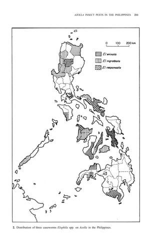 AZOLLA INSECT PESTS IN THE PHILIPPINES 211
2. Distribution of three caseworms Elophila spp. on Azolla in the Philippines.
 