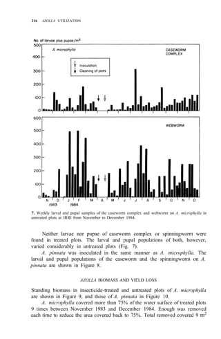 216 AZOLLA UTILIZATION
7. Weekly larval and pupal samples of the caseworm complex and webworm on A. microphylla in
untreated plots at IRRI from November to December 1984.
Neither larvae nor pupae of caseworm complex or spinningworm were
found in treated plots. The larval and pupal populations of both, however,
varied considerably in untreated plots (Fig. 7).
A. pinnata was inoculated in the same manner as A. microphylla. The
larval and pupal populations of the caseworm and the spinningworm on A.
pinnata are shown in Figure 8.
AZOLLA BIOMASS AND YIELD LOSS
Standing biomass in insecticide-treated and untreated plots of A. microphylla
are shown in Figure 9, and those of A. pinnata in Figure 10.
A. microphylla covered more than 75% of the water surface of treated plots
9 times between November 1983 and December 1984. Enough was removed
each time to reduce the area covered back to 75%. Total removed covered 9 m2
 