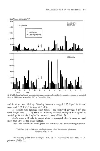 AZOLLA INSECT PESTS IN THE PHILIPPINES 217
8. Weekly larval and pupal samples of the caseworm complex and webworm on A. pinnata in untreated
plots at IRRI from November 1983 to December 1984.
and fresh wt was 3.85 kg. Standing biomass averaged 1.03 kg/m2
in treated
plots and 0.67 kg/m2 in untreated plots.
A. pinnata was removed eight times. Total removed covered 8 m2
and
total weight was 1.73 kg fresh wt. Standing biomass averaged 0.47 kg/m2
in
treated plots and 0.45 kg/m2
in untreated plots (Table 2).
Azolla grew well only in treated plots; in untreated plots it never covered
more that 75% of the water surface.
Yield loss caused by insect pests was estimated by the following formula:
Yield loss (%) = (1.00 -the standing-biomass values in untreated plots/those
in treated plots) × 100
The weekly yield loss averaged 35% or A. microphylla and 31% or A.
pinnata (Table 2).
 