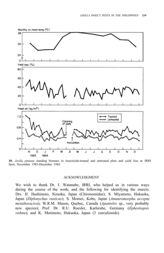 AZOLLA INSECT PESTS IN THE PHILIPPINES 219
10. Azolla pinnata standing biomass in insecticide-treated and untreated plots and yield loss at IRRI
farm, November 1983-December 1984.
ACKNOWLEDGMENT
We wish to thank Dr. I. Watanabe, IRRI, who helped us in various ways
during the course of the work; and the following for identifying the insects:
Drs. H. Hashimoto, Sizuoka, Japan (Chironomidae); S. Miyamoto, Hukuoka,
Japan (Diplonychus rusticus); S. Momoi, Kobe, Japan (Amauromorpha accepta
metathoracica); W.R.M. Mason, Quebec, Canada (Apanteles sp., very probably
new species); Prof. Dr. R.U. Roesler, Karlsruhe, Germany (Ephestiopsis
vishnu); and K. Morimoto, Hukuoka, Japan (3 curculionids).
 