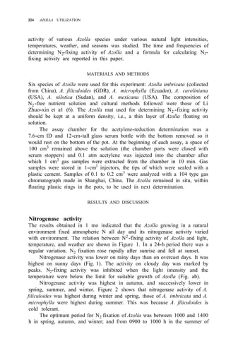 224 AZOLLA UTILIZATION
activity of various Azolla species under various natural light intensities,
temperatures, weather, and seasons was studied. The time and frequencies of
determining N2-fixing activity of Azolla and a formula for calculating N2-
fixing activity are reported in this paper.
MATERIALS AND METHODS
Six species of Azolla were used for this experiment: Azolla imbricata (collected
from China), A. filiculoides (GDR), A. microphylla (Ecuador), A. caroliniana
(USA), A. nilotica (Sudan), and A. mexicana (USA). The composition of
N2-free nutrient solution and cultural methods followed were those of Li
Zhuo-xin et a1 (6). The Azolla mat used for determining N2 -fixing activity
should be kept at a uniform density, i.e., a thin layer of Azolla floating on
solution.
The assay chamber for the acetylene-reduction determination was a
7.6-cm ID and 12-cm-tall glass serum bottle with the bottom removed so it
would rest on the bottom of the pot. At the beginning of each assay, a space of
100 cm3
remained above the solution (the chamber ports were closed with
serum stoppers) and 0.1 atm acetylene was injected into the chamber after
which 1 cm3
gas samples were extracted from the chamber in 10 min. Gas
samples were stored in 1-cm3 injectors, the tips of which were sealed with a
plastic cement. Samples of 0.1 to 0.2 cm3 were analyzed with a 104 type gas
chromatograph made in Shanghai, China. The Azolla remained in situ, within
floating plastic rings in the pots, to be used in next determination.
RESULTS AND DISCUSSION
Nitrogenase activity
The results obtained in 1 mo indicated that the Azolla growing in a natural
environment fixed atmospheric N all day and its nitrogenase activity varied
with environment. The relation between N2
-fixing activity of Azolla and light,
temperature, and weather are shown in Figure 1. In a 24-h period there was a
regular variation. N2 fixation rose rapidly after sunrise and fell at sunset.
Nitrogenase activity was lower on rainy days than on overcast days. It was
highest on sunny days (Fig. 1). The activity on cloudy day was marked by
peaks. N2-fixing activity was inhibited when the light intensity and the
temperature were below the limit for suitable growth of Azolla (Fig. ab).
Nitrogenase activity was highest in autumn, and successively lower in
spring, summer, and winter. Figure 2 shows that nitrogenase activity of A.
filiculoides was highest during winter and spring, those of A. imbricata and A.
microphylla were highest during summer. This was because A. filiculoides is
cold tolerant.
The optimum period for N2 fixation of Azolla was between 1000 and 1400
h in spring, autumn, and winter; and from 0900 to 1000 h in the summer of
 