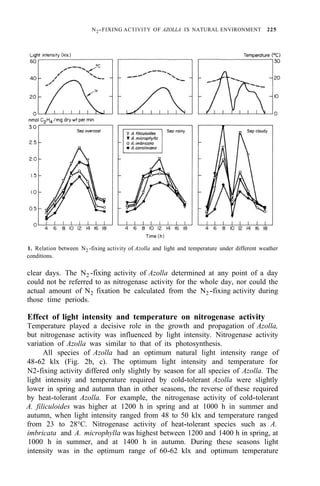 N2-FIXING ACTIVITY OF AZOLLA IS NATURAL ENVIRONMENT 225
1. Relation between N2-fixing activity of Azolla and light and temperature under different weather
conditions.
clear days. The N2 -fixing activity of Azolla determined at any point of a day
could not be referred to as nitrogenase activity for the whole day, nor could the
actual amount of N2 fixation be calculated from the N2-fixing activity during
those time periods.
Effect of light intensity and temperature on nitrogenase activity
Temperature played a decisive role in the growth and propagation of Azolla,
but nitrogenase activity was influenced by light intensity. Nitrogenase activity
variation of Azolla was similar to that of its photosynthesis.
All species of Azolla had an optimum natural light intensity range of
48-62 klx (Fig. 2b, c). The optimum light intensity and temperature for
N2-fixing activity differed only slightly by season for all species of Azolla. The
light intensity and temperature required by cold-tolerant Azolla were slightly
lower in spring and autumn than in other seasons, the reverse of these required
by heat-tolerant Azolla. For example, the nitrogenase activity of cold-tolerant
A. filiculoides was higher at 1200 h in spring and at 1000 h in summer and
autumn, when light intensity ranged from 48 to 50 klx and temperature ranged
from 23 to 28°C. Nitrogenase activity of heat-tolerant species such as A.
imbricata and A. microphylla was highest between 1200 and 1400 h in spring, at
1000 h in summer, and at 1400 h in autumn. During these seasons light
intensity was in the optimum range of 60-62 klx and optimum temperature
 