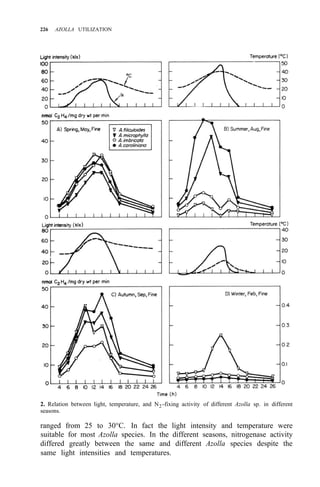 226 AZOLLA UTILIZATION
2. Relation between light, temperature, and N2-fixing activity of different Azolla sp. in different
seasons.
ranged from 25 to 30°C. In fact the light intensity and temperature were
suitable for most Azolla species. In the different seasons, nitrogenase activity
differed greatly between the same and different Azolla species despite the
same light intensities and temperatures.
 