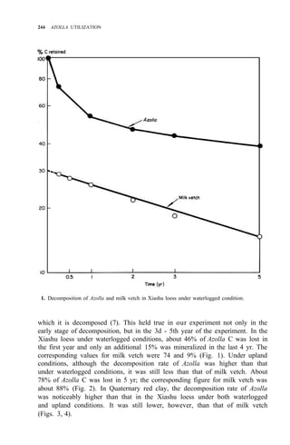 244 AZOLLA UTILIZATION
1. Decomposition of Azolla and milk vetch in Xiashu loess under waterlogged condition.
which it is decomposed (7). This held true in our experiment not only in the
early stage of decomposition, but in the 3d - 5th year of the experiment. In the
Xiashu loess under waterlogged conditions, about 46% of Azolla C was lost in
the first year and only an additional 15% was mineralized in the last 4 yr. The
corresponding values for milk vetch were 74 and 9% (Fig. 1). Under upland
conditions, although the decomposition rate of Azolla was higher than that
under waterlogged conditions, it was still less than that of milk vetch. About
78% of Azolla C was lost in 5 yr; the corresponding figure for milk vetch was
about 88% (Fig. 2). In Quaternary red clay, the decomposition rate of Azolla
was noticeably higher than that in the Xiashu loess under both waterlogged
and upland conditions. It was still lower, however, than that of milk vetch
(Figs. 3, 4).
 