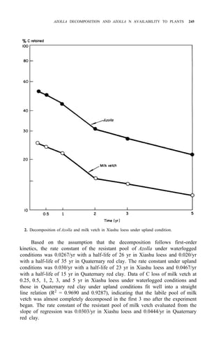 AZOLLA DECOMPOSITION AND AZOLLA N AVAILABILITY TO PLANTS 245
2. Decomposition of Azolla and milk vetch in Xiashu loess under upland condition.
Based on the assumption that the decomposition follows first-order
kinetics, the rate constant of the resistant pool of Azolla under waterlogged
conditions was 0.0267/yr with a half-life of 26 yr in Xiashu loess and 0.020/yr
with a half-life of 35 yr in Quaternary red clay. The rate constant under upland
conditions was 0.030/yr with a half-life of 23 yr in Xiashu loess and 0.0467/yr
with a half-life of 15 yr in Quaternary red clay. Data of C loss of milk vetch at
0.25, 0.5, 1, 2, 3, and 5 yr in Xiashu loess under waterlogged conditions and
those in Quaternary red clay under upland conditions fit well into a straight
line relation (R2
= 0.9690 and 0.9287), indicating that the labile pool of milk
vetch was almost completely decomposed in the first 3 mo after the experiment
began. The rate constant of the resistant pool of milk vetch evaluated from the
slope of regression was 0.0303/yr in Xiashu loess and 0.0444/yr in Quaternary
red clay.
 