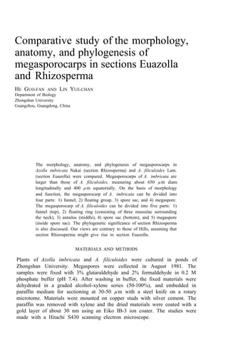 Comparative study of the morphology,
anatomy, and phylogenesis of
megasporocarps in sections Euazolla
and Rhizosperma
HE GUO-FAN AND LIN YUE-CHAN
Department of Biology
Zhongshan University
Guangzhou, Guangdong, China
The morphology, anatomy, and phylogenesis of megasporocarps in
Azolla imbricata Nakai (section Rhizosperma) and A. filiculoides Lam.
(section Euazolla) were compared. Megasporocarps of A. imbricata are
larger than those of A. filiculoides, measuring about 650 µm diam
longitudinally and 400 µm equatorially. On the basis of morphology
and function, the megasporocarp of A. imbricata can be divided into
four parts: 1) funnel, 2) floating group, 3) spore sac, and 4) megaspore.
The megasporocarp of A. filiculoides can be divided into five parts: 1)
funnel (top), 2) floating ring (consisting of three massulae surrounding
the neck), 3) annulus (middle), 4) spore sac (bottom), and 5) megaspore
(inside spore sac). The phylogenetic significance of section Rhizosperma
is also discussed. Our views are contrary to those of Hills, assuming that
section Rhizosperma might give rise to section Euazolla.
MATERIALS AND METHODS
Plants of Azolla imbricata and A. filiculoides were cultured in ponds of
Zhongshan University. Megaspores were collected in August 1981. The
samples were fixed with 3% glutaraldehyde and 2% formaldehyde in 0.2 M
phosphate buffer (pH 7.4). After washing in buffer, the fixed materials were
dehydrated in a graded alcohol-xylene series (50-100%), and embedded in
paraffin medium for sectioning at 30-50 µm with a steel knife on a rotary
microtome. Materials were mounted on copper studs with silver cement. The
paraffin was removed with xylene and the dried materials were coated with a
gold layer of about 30 nm using an Eiko IB-3 ion coater. The studies were
made with a Hitachi S430 scanning electron microscope.
 
