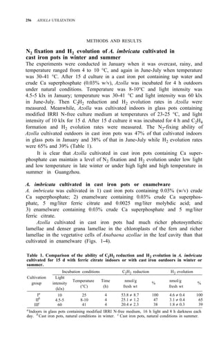 256 AZOLLA UTILIZATION
METHODS AND RESULTS
N2 fixation and H2 evolution of A. imbricata cultivated in
cast iron pots in winter and summer
The experiments were conducted in January when it was overcast, rainy, and
temperature ranged from 4 to 10 °C, and again in June-July when temperature
was 30-41 °C. After 15 d culture in a cast iron pot containing tap water and
crude Ca superphosphate (0.03% w/v), Azolla was incubated for 4 h outdoors
under natural conditions. Temperature was 8-10°C and light intensity was
4.5-5 klx in January; temperature was 30-41 °C and light intensity was 60 klx
in June-July. Then C2H2 reduction and H2 evolution rates in Azolla were
measured. Meanwhile, Azolla was cultivated indoors in glass pots containing
modified IRRI N-free culture medium at temperatures of 23-25 °C, and light
intensity of 10 klx for 15 d. After 15 d culture it was incubated for 4 h and C2H4
formation and H2 evolution rates were measured. The N2-fixing ability of
Azolla cultivated outdoors in cast iron pots was 47% of that cultivated indoors
in glass pots in January and 38% of that in June-July while H2 evolution rates
were 65% and 39% (Table 1).
It is clear that Azolla cultivated in cast iron pots containing Ca super-
phosphate can maintain a level of N2 fixation and H2 evolution under low light
and low temperature in late winter or under high light and high temperature in
summer in Guangzhou.
A. imbricata cultivated in cast iron pots or enamelware
A. imbricata was cultivated in 1) cast iron pots containing 0.03% (w/v) crude
Ca superphosphate; 2) enamelware containing 0.03% crude Ca superphos-
phate, 5 mg/liter ferric citrate and 0.0025 mg/liter molybdic acid; and
3) enamelware containing 0.03% crude Ca superphosphate and 5 mg/liter
ferric citrate.
Azolla cultivated in cast iron pots had much richer photosynthetic
lamellae and denser grana lamellae in the chloroplasts of the fern and richer
lamellae in the vegetative cells of Anabaena azollae in the leaf cavity than that
cultivated in enamelware (Figs. 1-4).
Table 1. Comparison of the ability of C2H2 reduction and H2 evolution in A. imbricata
cultivated for 15 d with ferric citrate indoors or with cast iron outdoors in winter or
summer.
Incubation conditions C2H2 reduction H2 evolution
Cultivation Light
group intensity
Temperature Time nmol/g
(°C) (h) fresh wt fresh wt
%
nmol/g
%
(klx)
Ia
10 25 4 53.8 ≠ 8.7 100 4.6 ≠ 0.4 100
IIb
4.5-5 8-10 4 25.1 ≠ 1.2 47 3.1 ≠ 0.4 65
IIIc
60 41 4 20.4 ≠ 2.3 38 1.8 ≠ 0.3 39
a
Indoors in glass pots containing modified IRRI N-free medium, 16 h light and 8 h darkness each
day. b Cast iron pots, natural conditions in winter. c Cast iron pots, natural conditions in summer.
 