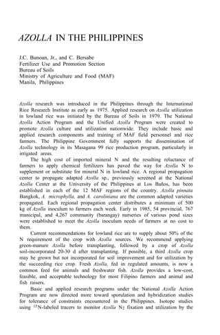 AZOLLA IN THE PHILIPPINES
J.C. Bunoan, Jr., and C. Bersabe
Fertilizer Use and Promotion Section
Bureau of Soils
Ministry of Agriculture and Food (MAF)
Manila, Philippines
Azolla research was introduced in the Philippines through the International
Rice Research Institute as early as 1975. Applied research on Azolla utilization
in lowland rice was initiated by the Bureau of Soils in 1979. The National
Azolla Action Program and the Unified Azolla Program were created to
promote Azolla culture and utilization nationwide. They include basic and
applied research components and training of MAF field personnel and rice
farmers. The Philippine Government fully supports the dissemination of
Azolla technology in its Masagana 99 rice production program, particularly in
irrigated areas.
The high cost of imported mineral N and the resulting reluctance of
farmers to apply chemical fertilizers has paved the way for Azolla N to
supplement or substitute for mineral N in lowland rice. A regional propagation
center to propagate adapted Azolla sp., previously screened at the National
Azolla Center at the University of the Philippines at Los Baños, has been
established in each of the 12 MAF regions of the country. Azolla pinnata
Bangkok, A. microphylla, and A. caroliniana are the common adapted varieties
propagated. Each regional propagation center distributes a minimum of 500
kg of Azolla inoculum to farmers each week. Early in 1985, 54 provincial, 767
municipal, and 4,267 community (barangay) nurseries of various pond sizes
were established to meet the Azolla inoculum needs of farmers at no cost to
them.
Current recommendations for lowland rice are to supply about 50% of the
N requirement of the crop with Azolla sources. We recommend applying
green-manure Azolla before transplanting, followed by a crop of Azolla
soil-incorporated 20-30 d after transplanting. If possible, a third Azolla crop
may be grown but not incorporated for soil improvement and for utilization by
the succeeding rice crop. Fresh Azolla, fed in regulated amounts, is now a
common feed for animals and freshwater fish. Azolla provides a low-cost,
feasible, and acceptable technology for most Filipino farmers and animal and
fish raisers.
Basic and applied research programs under the National Azolla Action
Program are now directed more toward sporulation and hybridization studies
for tolerance of constraints encountered in the Philippines. Isotope studies
using 15N-labeled tracers to monitor Azolla N2 fixation and utilization by the
 