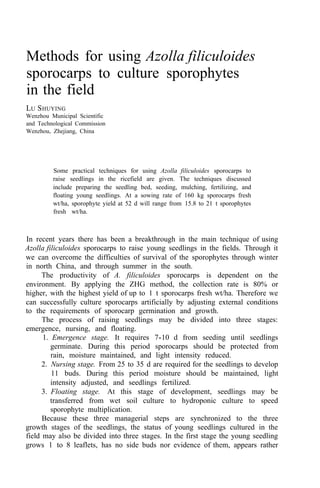 Methods for using Azolla filiculoides
sporocarps to culture sporophytes
in the field
LU SHUYING
Wenzhou Municipal Scientific
and Technological Commission
Wenzhou, Zhejiang, China
Some practical techniques for using Azolla filiculoides sporocarps to
raise seedlings in the ricefield are given. The techniques discussed
include preparing the seedling bed, seeding, mulching, fertilizing, and
floating young seedlings. At a sowing rate of 160 kg sporocarps fresh
wt/ha, sporophyte yield at 52 d will range from 15.8 to 21 t sporophytes
fresh wt/ha.
In recent years there has been a breakthrough in the main technique of using
Azolla filiculoides sporocarps to raise young seedlings in the fields. Through it
we can overcome the difficulties of survival of the sporophytes through winter
in north China, and through summer in the south.
The productivity of A. filiculoides sporocarps is dependent on the
environment. By applying the ZHG method, the collection rate is 80% or
higher, with the highest yield of up to 1 t sporocarps fresh wt/ha. Therefore we
can successfully culture sporocarps artificially by adjusting external conditions
to the requirements of sporocarp germination and growth.
The process of raising seedlings may be divided into three stages:
emergence, nursing, and floating.
1. Emergence stage. It requires 7-10 d from seeding until seedlings
germinate. During this period sporocarps should be protected from
rain, moisture maintained, and light intensity reduced.
2. Nursing stage. From 25 to 35 d are required for the seedlings to develop
11 buds. During this period moisture should be maintained, light
intensity adjusted, and seedlings fertilized.
3. Floating stage. At this stage of development, seedlings may be
transferred from wet soil culture to hydroponic culture to speed
sporophyte multiplication.
Because these three managerial steps are synchronized to the three
growth stages of the seedlings, the status of young seedlings cultured in the
field may also be divided into three stages. In the first stage the young seedling
grows 1 to 8 leaflets, has no side buds nor evidence of them, appears rather
 