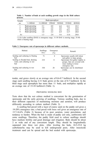 28 AZOLLA UTILIZATION
Table 1. Number of buds at each seedling growth stage in the field culture
process.
Sample Buds/sporophytea
no. 1-10DAS 11-20DAS 25DAS 30 DAS 35 DAS 40 DAS
1 Budssprouting 2.1 4.0 6.8 14.1 35.5
2 Buds sprouting 1.0 2.4 4.0 9.3 22.9
3 Buds sprouting 1.0 2.6 4.6 10.1 32.0
4 Buds sprouting 1.0 2.2 6.9 12.7 28.0
Av 1.3 2.8 5.6 11.6 29.0
a
1-10 d after seedling (DAS) is emergence stage, 11-30 DAS is nursing stage, 35-40
DAS is floating stage.
Table 2. Emergence rate of sporocarps in different culture methods.
Method Seedlings Emergence
(no.)
Remark
(%)
Seeding and culturing in floating
bed
Seeding in flooded bed, draining
water, and culturing in wet
bed
Seeding and culturing in wet
bed
71 4 Sporocarps usually drift about
and gather in large groups.
groups, then are covered with
mud, leading to lower
emergence rate.
evenly.
218 11 Sporocarps first gather slightly in
530 28 Sporocarps can be distributed
tender, and grows slowly at an average rate of 0.6-0.7 leaflets/d. In the second
stage each seedling having 2-11 buds grows at the rate of 4-7 leaflets/d. In the
third stage each sporophyte has more than 11 buds, and multiplies rapidly at
an average rate of 15-18 leaflets/d (Table 1).
PREPARING SEEDLING BED
Tests show that the wet culture method is convenient for the germination of
sporocarps and the early growing of seedlings. Various seedling beds, due to
their different capacities of maintaining moisture and aeration, will produce
differently according to culture method (Table 2).
A seedling bed paved with a layer of coarse sand on the paddy soil gives a
19-20% emergence rate; a bed paved with loess soil gives an emergence rate of
15.7-16.6% (Table 3) because of its poor aeration, water percolation, and
tendency to harden. When the bed is made of paddy soil only, earthworms kill
some seedlings. Therefore, the paddy field used to culture seedlings should
have medium fertility and good drainage and irrigation. Beds should be about
2 m wide and of any convenient length. They should be longitudinally
separated into three wet plots. After leveling the beds, 24.5-33.0 kg
carbofuran/ha may be used to kill underground pests. After insecticide
treatment sand can be spread and the bed seeded with sporocarps.
 
