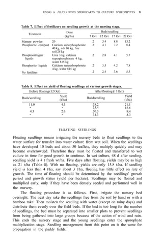 USING A. FILICULOIDES SPOROCARPS TO CULTURE SPOROPHYTES 31
Table 7. Effect of fertilizers on seedling growth at the nursing stage.
Treatment
Manure powder
Phosphorite compost
Phosphonitrogen
liquids
Phosphorite liquids
No fertilizer
Dose Buds/seedling
(kg/ha) 7 Oct 12 Oct 17 Oct 22 Oct
20 2 5.4 8.8 13.2
Calcium superphosphorate 2 4.1 7.2 8.4
40 kg, ash 80 kg, fine
soil 28 kg
Urea 3 kg, calcium 2 2.8 4.1 5.7
superphosphorate 4 kg,
water 815 kg
Calcium superphosphorate 2 3.5 4.2 7.8
4 kg, water 815 kg
- 2 2.4 3.6 5.3
Table 8. Effect on yield of floating seedlings at various growth stages.
Before floating (12 Oct) After floating(17Oct)
Buds/seedling
Yield
Buddseedling
Yield
(t/ha) (t/ha)
11.0 4.5 38.2 21.1
- 35.4 15.8
4.3 2.6 30.3 9.4
34.3 8.3
-
- -
FLOATING SEEDLINGS
Floating seedlings means irrigating the nursery beds to float seedlings to the
water surface for transfer into water culture from wet soil. When the seedlings
have developed 10 buds and about 50 leaflets, they multiply quickly and may
become overcrowded. Therefore they must be floated and transferred to wet
culture in time for good growth to continue. In wet culture, 48 d after seeding,
seedling yield is 4 t fresh wt/ha. Five days after floating, yields may be as high
as 21 t/ha (Table 8). With no floating, yields are only 15.8 t/ha. If seedling
yield is less than 4 t/ha, say about 3 t/ha, floating has little effect on rate of
growth. The time of floating should be determined by the seedlings' growth
period and growth status (yield per hectare). Seedlings may be floated and
multiplied early, only if they have been densely seeded and performed well in
the nursery.
The floating procedure is as follows. First, irrigate the nursery bed
overnight. The next day rake the seedlings free from the soil by hand or with a
bamboo rake. Then moisten the seedling with water (except on rainy days) and
distribute them evenly over the field beds. If the bed is too long for the number
of seedlings, the bed must be separated into smaller plots to prevent seedlings
from being gathered into large groups because of the action of wind and rain.
This ends the nursery stage and the young seedlings enter the sporophyte
multiplication stage. Seedling management from this point on is the same for
propagation in the paddy fields.
 
