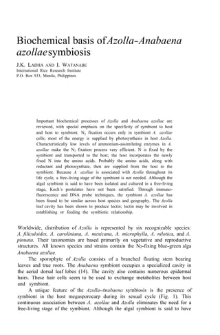 Biochemical basis ofAzolla-Anabaena
azollaesymbiosis
J.K. LADHA AND I. WATANABE
International Rice Research Institute
P.O. Box 933, Manila, Philippines
Important biochemical processes of Azolla and Anabaena azollae are
reviewed, with special emphasis on the specificity of symbiont to host
and host to symbiont. N2 fixation occurs only in symbiont A. azollae
cells; most of the energy is supplied by photosynthesis in host Azolla.
Characteristically low levels of ammonium-assimilating enzymes in A.
azollae make the N2 fixation process very efficient. N is fixed by the
symbiont and transported to the host; the host incorporates the newly
fixed N into the amino acids. Probably the amino acids, along with
reductant and photosynthate, then are supplied from the host to the
symbiont. Because A. azollae is associated with Azolla throughout its
life cycle, a free-living stage of the symbiont is not needed. Although the
algal symbiont is said to have been isolated and cultured in a free-living
stage, Koch’s postulates have not been satisfied. Through immuno-
fluorescence and DNA probe techniques, the symbiont A. azollae has
been found to be similar across host species and geography. The Azolla
leaf cavity has been shown to produce lectin; lectin may be involved in
establishing or feeding the symbiotic relationship.
Worldwide, distribution of Azolla is represented by six recognizable species:
A. filiculoides, A. caroliniana, A. mexicana, A. microphylla, A. nilotica, and A.
pinnata. Their taxonomies are based primarily on vegetative and reproductive
structures. All known species and strains contain the N2-fixing blue-green alga
Anabaena azollae.
The sporophyte of Azolla consists of a branched floating stem bearing
leaves and true roots. The Anabaena symbiont occupies a specialized cavity in
the aerial dorsal leaf lobes (14). The cavity also contains numerous epidermal
hairs. These hair cells seem to be used to exchange metabolites between host
and symbiont.
A unique feature of the Azolla-Anabaena symbiosis is the presence of
symbiont in the host megasporocarp during its sexual cycle (Fig. 1). This
continuous association between A. azollae and Azolla eliminates the need for a
free-living stage of the symbiont. Although the algal symbiont is said to have
 