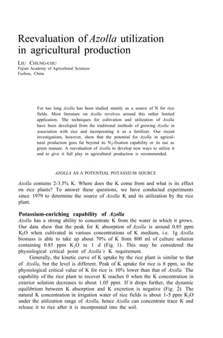 Reevaluation of Azolla utilization
in agricultural production
LIU CHUNG-CHU
Fujian Academy of Agricultural Sciences
Fuzhou, China
For too long Azolla has been studied mainly as a source of N for rice
fields. Most literature on Azolla revolves around this rather limited
application. The techniques for cultivation and utilization of Azolla
have been developed from the traditional methods of growing Azolla in
association with rice and incorporating it as a fertilizer. Our recent
investigations, however, show that the potential for Azolla in agricul-
tural production goes far beyond its N2-fixation capability or its use as
green manure. A reevaluation of Azolla to develop new ways to utilize it
and to give it full play in agricultural production is recommended.
AZOLLA AS A POTENTIAL POTASSIUM SOURCE
Azolla contains 2-3.5% K. Where does the K come from and what is its effect
on rice plants? To answer these questions, we have conducted experiments
since 1979 to determine the source of Azolla K and its utilization by the rice
plant.
Potassium-enriching capability of Azolla
Azolla has a strong ability to concentrate K from the water in which it grows.
Our data show that the peak for K absorption of Azolla is around 0.85 ppm
K2O when cultivated in various concentrations of K medium, i.e. 1g Azolla
biomass is able to take up about 70% of K from 800 ml of culture solution
containing 0.85 ppm K2O in 1 d (Fig. 1). This may be considered the
physiological critical point of Azolla’s K requirement.
Generally, the kinetic curve of K uptake by the rice plant is similar to that
of Azolla, but the level is different. Peak of K uptake for rice is 8 ppm, so the
physiological critical value of K for rice is 10% lower than that of Azolla. The
capability of the rice plant to recover K reaches 0 when the K concentration in
exterior solution decreases to about 1.05 ppm. If it drops further, the dynamic
equilibrium between K absorption and K excretion is negative (Fig. 2). The
natural K concentration in irrigation water of rice fields is about 1-5 ppm K2O
under the utilization range of Azolla, hence Azolla can concentrate trace K and
release it to rice after it is incorporated into the soil.
 