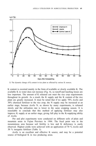 AZOLLA UTILIZATION IN AGRICULTURAL PRODUCTION 69
3. The dynamic change of K content in rice plant as affected by various K sources.
K content is excreted mainly in the form of available or slowly available K. The
available K in water does not increase (Fig. 4), so runoff and leaching losses are
less important. The amount of K released can meet the rice crop requirements
throughout its growth. As a result, the K supply and the K content of the rice
plant are greatly increased. It must be noted that if we apply 70% Azolla and
30% chemical fertilizer to the rice crop, the N supply may be increased at an
earlier stage, because Azolla N, as shown by many experiments, is released
slowly and the utilization rate is lower in the same cropping season. It is
reasonable to conclude that this method of applying fertilizer may also
improve K supply at an earlier stage, giving full play to the K-supplying ability
of Azolla.
Pot and plot experiments were conducted on different soils of plain and
mountain areas in Fujian Province in 1984. The focal point was in the
mountainous area because soil fertility is low and K deficiency is easily
observed. Highest yields were achieved with an application of 70 % Azolla and
30 % inorganic fertilizer (Table 1).
Azolla is an excellent and effective K source, and may be a potential
source of biological K in rice producing areas.
 