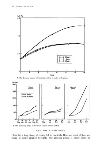 72 AZOLLA UTILIZATION
5. The dynamic change of Azolla K content in water-soil system.
6. The increasing effect of Azolla on various species of fish.
RICE - AZOLLA - FISH SYSTEM
China has a long history of raising fish in ricefields. However, most of them are
raised in single cropped ricefields. The growing period is rather short, no
 