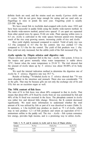 AZOLLA UTILIZATION IN AGRICULTURAL PRODUCTION 73
definite feeds are used, and the strains used are mostly Cyprinus idella and
C. carpio. Fish do not grow large enough for eating and are used only as
fingerlings to raise in ponds the next year. Fingerling yield is usually
225-300 kg/ha.
We have raised fish in ricefields dual-cropped with Azolla since 1932 and
have been successful in paddy fields using the double wide-narrow method. In
the double wide-narrow method, paired rows spaced 13 cm apart are separated
from other paired rows by spaces 53-66 cm wide. Plant spacing within rows is
6.5 cm. Azolla is cultivated in the wide spaces between paired rows through
much of the rice crop growing season, increasing yields of rice and Azolla.
Rice yield slightly increased compared to control. Yield of early rice was
5.2 t/ha compared to 4.5 t/ha for the control; late rice yielded 5.7 t/ha
compared to 5.3 t/ha for the control. The yield of fish products was 1 t/ha.
Rice yield not only increased, but the edible yield of the fish increased (Fig. 6).
Azolla uptake by Tilapia nilotica and digestive rate
Tilapia nilotica is an important fish in the rice - Azolla - fish system. It lives in
the tropics and grows normally when water temperature is stable above
12°C; fastest when the water temperature is 25-34 °C. The trial showed that
the amount of Azolla taken up by T. nilotica was about 50-80% of its body
weight.
We used the internal indication method to determine the digestion rate of
Azolla by T. nilotica. Digestive rate was 59.7 %.
Results of feeding 15
N-labeled Azolla to T. nilotica showed that 15
N was
most abundant in the intestines and stomach. There also was considerable 15
N
in the gills. That may be because gills are not only the exchange site of O2 and
CO2 but are an excretion organ as well.
The NPK content of fish feces
The ratio of N in fish feces was about 40% compared to that in Azolla. That
means that about 60% of N fixed by Azolla from air was assimilated by fish and
40% of the N fixed was excreted in the feces. The phosphate content in Azolla
was rather low and showed little change. However, the K content decreased
significantly. We need more information to understand whether the total
amount of K was utilized by fish or part of it was dissolved in water (Table 3).
In summary, a 1-ha ricefield may produce as much as 75 t of Azolla, which
may in turn produce 1.2 t of fish products and return an equivalent of 0.3 t
ammonium sulfate to the paddy soil. The rice - Azolla - fish system consumes
low energy, provides high income, and is a promising way to utilize Azolla.
Table 3. N, P, and K contents in Azolla and in feces of Tilapia nilotica.
Sample N (%) P2O5 (%) K2O (%)
Azolla 4.87 0.66 2.53
Feces 2.23 0.91 0.19
 