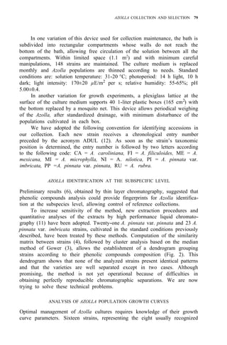 AZOLLA COLLECTION AND SELECTION 79
In one variation of this device used for collection maintenance, the bath is
subdivided into rectangular compartments whose walls do not reach the
bottom of the bath, allowing free circulation of the solution between all the
compartments. Within limited space (1.1 m2
) and with minimum careful
manipulations, 148 strains are maintained. The culture medium is replaced
monthly and Azolla populations are thinned according to needs. Standard
conditions are: solution temperature: 31-20 °C; photoperiod: 14 h light, 10 h
dark; light intensity: 170±20 µE/m2 per s; relative humidity: 55-65%; pH
5.00±0.4.
In another variation for growth experiments, a plexiglass lattice at the
surface of the culture medium supports 40 1-liter plastic boxes (165 cm2
) with
the bottom replaced by a mosquito net. This device allows periodical weighing
of the Azolla, after standardized drainage, with minimum disturbance of the
populations cultivated in each box.
We have adopted the following convention for identifying accessions in
our collection. Each new strain receives a chronological entry number
preceded by the acronym ADUL (12). As soon as the strain’s taxonomic
position is determined, the entry number is followed by two letters according
to the following code: CA = A. caroliniana, FI = A. filiculoides, ME = A.
mexicana, MI = A. microphylla, NI = A. nilotica, PI = A. pinnata var.
imbricata, PP =A. pinnata var. pinnata, RU = A. rubra.
AZOLLA IDENTIFICATION AT THE SUBSPECIFIC LEVEL
Preliminary results (6), obtained by thin layer chromatography, suggested that
phenolic compounds analysis could provide fingerprints for Azolla identifica-
tion at the subspecies level, allowing control of reference collections.
To increase sensitivity of the method, new extraction procedures and
quantitative analyses of the extracts by high performance liquid chromato-
graphy (11) have been adopted. Twenty-one A. pinnata var. pinnata and 23 A.
pinnata var. imbricata strains, cultivated in the standard conditions previously
described, have been treated by these methods. Computation of the similarity
matrix between strains (4), followed by cluster analysis based on the median
method of Gower (3), allows the establishment of a dendrogram grouping
strains according to their phenolic compounds composition (Fig. 2). This
dendrogram shows that none of the analyzed strains present identical patterns
and that the varieties are well separated except in two cases. Although
promising, the method is not yet operational because of difficulties in
obtaining perfectly reproducible chromatographic separations. We are now
trying to solve these technical problems.
ANALYSIS OF AZOLLA POPULATION GROWTH CURVES
Optimal management of Azolla cultures requires knowledge of their growth
curve parameters. Sixteen strains, representing the eight usually recognized
 