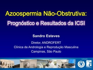 Sandro Esteves
            Diretor, ANDROFERT
Clínica de Andrologia e Reprodução Masculina
            Campinas, São Paulo
 